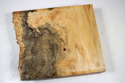 Maple Burl 240x205x65mm - AhoM0355