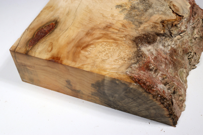 Maple Burl 240x205x65mm - AhoM0355