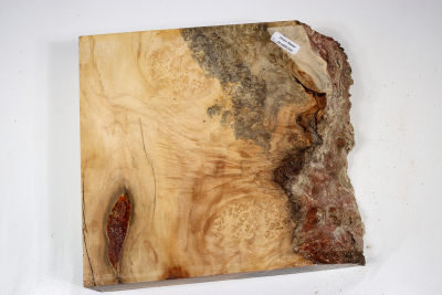 Maple Burl 240x205x65mm - AhoM0355