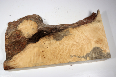 Maple Burl 370x230x65mm - AhoM0357