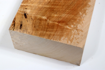 Maple Burl spalted 400x115x60mm - AhoM0331