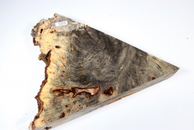 Buckeye Tree Burl 300x225x48mm - Buck0139