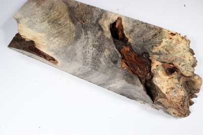 Buckeye Tree Burl 350x125x48mm - Buck0140