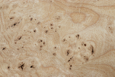 Ash Burl 380x350x65mm - Esch0256