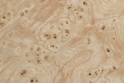 Ash Burl 460x370x65mm - Esch0259