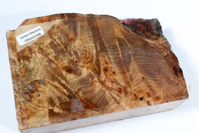 Golden Madrone Burl 155x100x60mm - GMadr0488