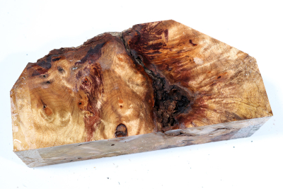 Golden Madrone Burl 170x80x60mm - GM0481