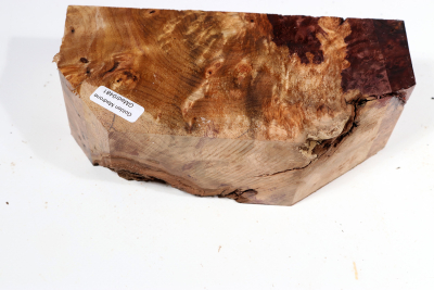 Golden Madrone Burl 170x80x60mm - GM0481