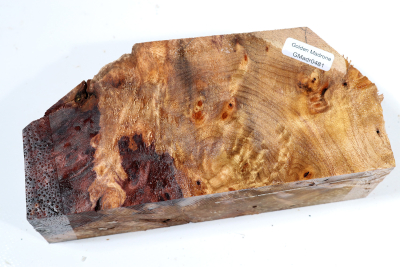 Golden Madrone Burl 170x80x60mm - GM0481