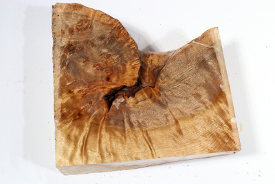 Golden Madrone Burl 180x170x60mm - GMadr0456