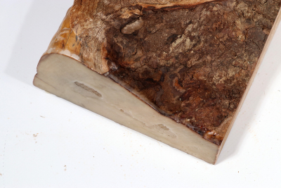 Golden Madrone Burl 180x170x60mm - GMadr0456