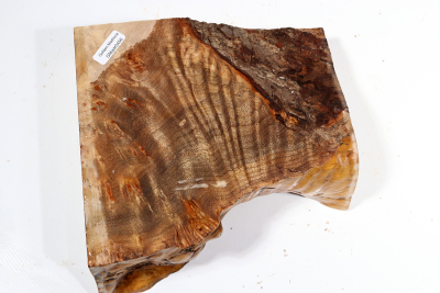 Golden Madrone Burl 180x170x60mm - GMadr0456