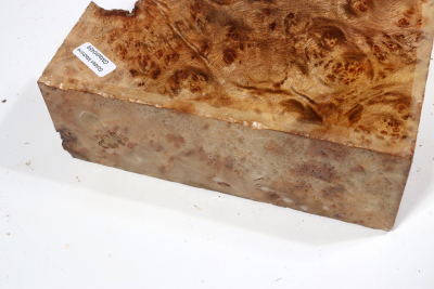 Golden Madrone Burl 180x170x60mm - GM0459