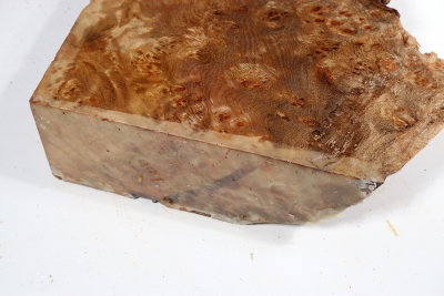 Golden Madrone Burl 180x170x60mm - GM0459