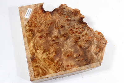 Golden Madrone Burl 180x170x60mm - GM0459