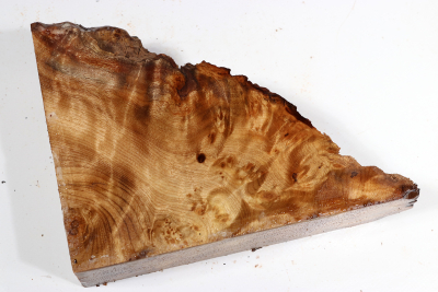 Golden Madrone Burl 190x135x60mm - GM0467