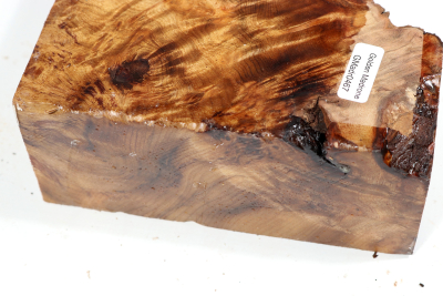 Golden Madrone Burl 190x135x60mm - GM0467