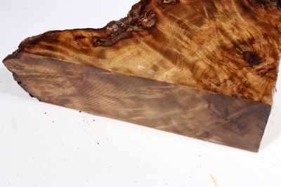 Golden Madrone Burl 190x135x60mm - GM0467