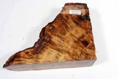 Golden Madrone Burl 190x135x60mm - GM0467