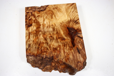 Golden Madrone Burl 285x215x60mm - GMadr0408