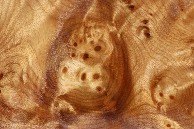 Golden Madrone Burl 290x260x59mm - GMadr0397