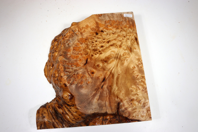 Golden Madrone Burl 315x290x60mm - GMadr0401