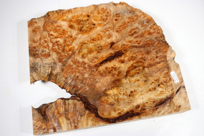 Golden Madrone Burl 325x280x60mm - GMadr0396