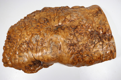 Golden Madrone Burl 470x290x75mm - GMadr0394