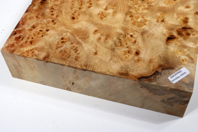 Golden Madrone Burl 525x230x58mm - GMadr0400