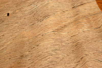 Cork Oak 300x185x60mm - Kork0004