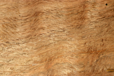 Cork Oak 320x155x62mm - Kork0039