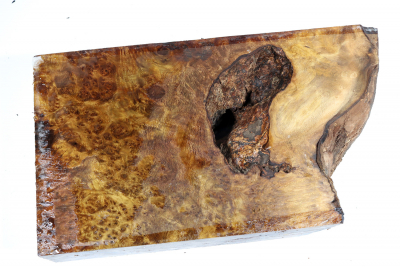 Laurel Burl 310x175x60mm - LauM0240