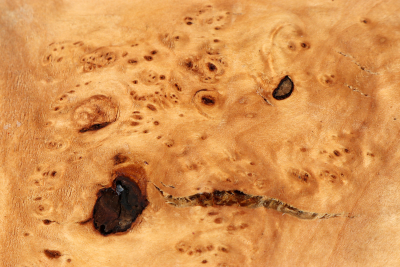 Burl Slab Linden Tree Burl 250x120x501mm - LinM0146