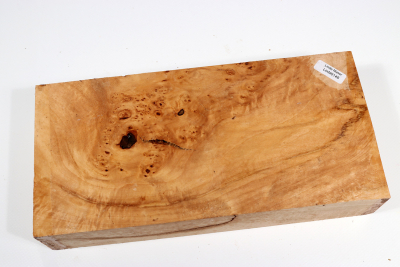 Burl Slab Linden Tree Burl 250x120x501mm - LinM0146