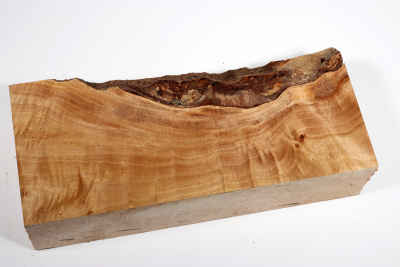 Poplar Burl 270x120x55mm- PapM0295