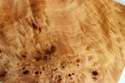 Poplar Burl 320x220x60mm- PapM0294