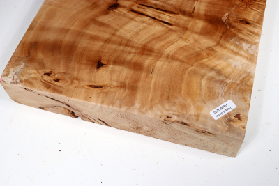 Poplar Burl 410x250x45mm- PapM0270