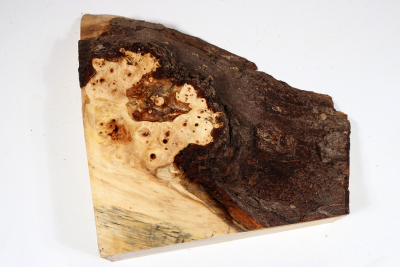 Horse Chestnut 220x220x60mm - Roka0412