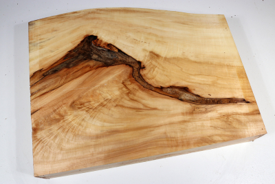 Horse Chestnut 350x270x60mm - Roka0394