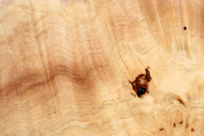 Horse Chestnut Burl 210x170x70mm - Roka0479