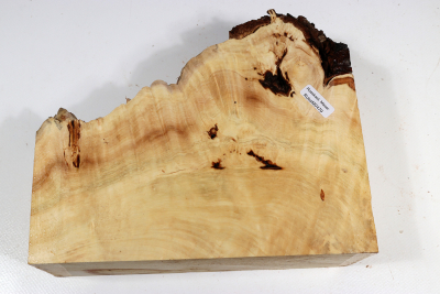 Horse Chestnut Burl 210x170x70mm - Roka0479