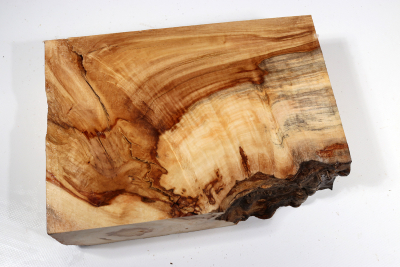 Horse Chestnut Burl 250x175x70mm - Roka0381