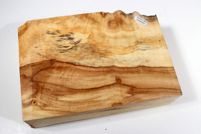 Horse Chestnut Burl 250x175x70mm - Roka0381