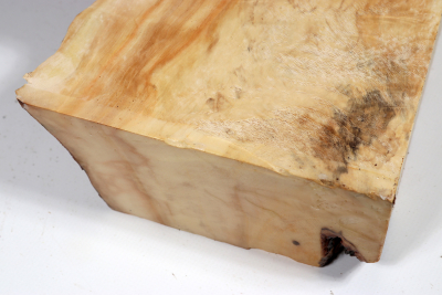 Horse Chestnut Burl 250x210x70mm - Roka0408