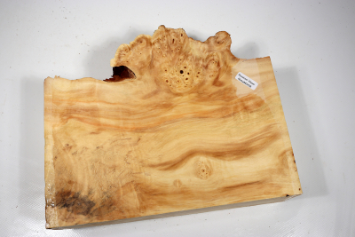 Horse Chestnut Burl 250x210x70mm - Roka0408