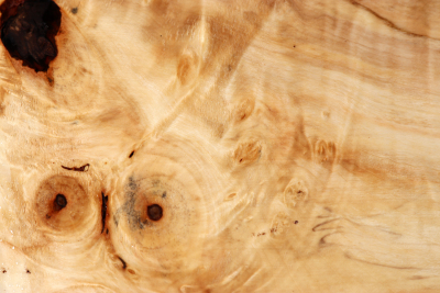 Horse Chestnut Burl 310x270x78mm - Roka0337