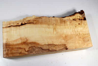 Horse Chestnut Burl 360x150x68mm - Roka0460