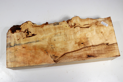 Horse Chestnut Burl 360x150x68mm - Roka0460