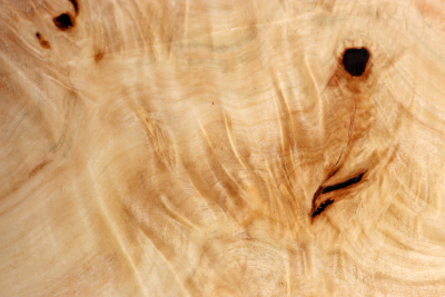 Horse Chestnut Burl 360x165x75mm - Roka0463