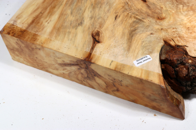 Horse Chestnut Burl 360x310x70mm - Roka0450